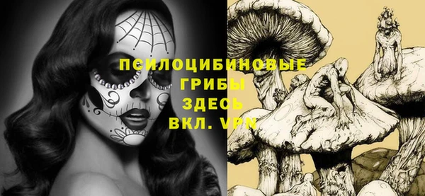 герыч Алзамай