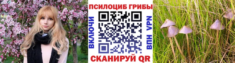 цены   Стародуб  Галлюциногенные грибы ЛСД 